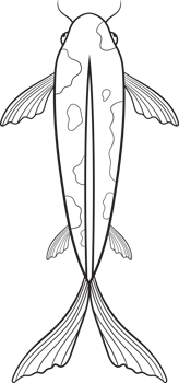Fish clipart design png