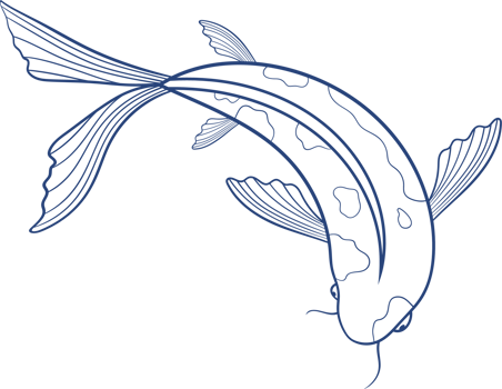 Fish clipart design png