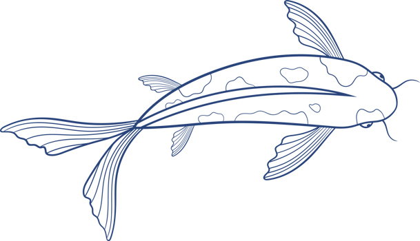 Fish clipart design png