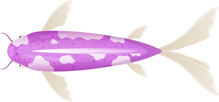Fish clipart design png