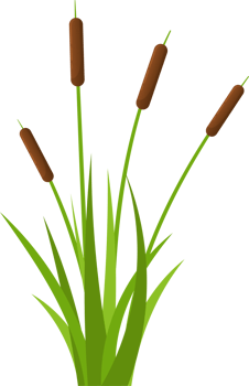 Grass with cattail clipart png