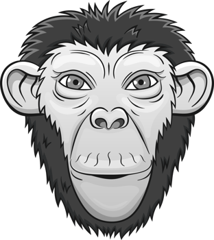 Monkey clipart design png