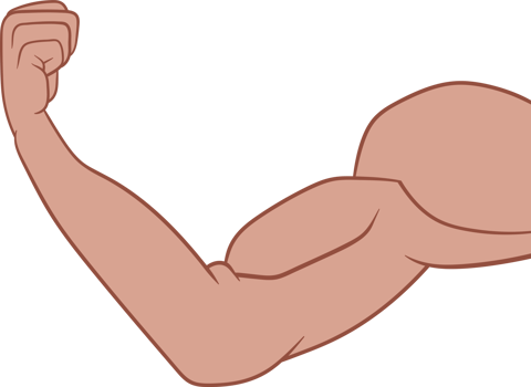 Muscle arm drawing clipart png