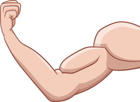 Muscle arm drawing clipart png