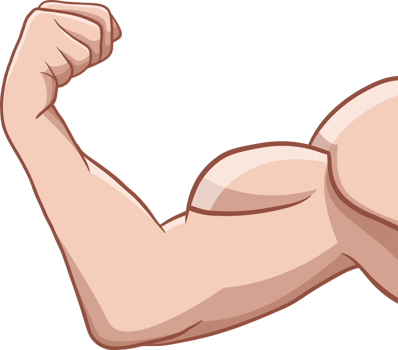 Muscle arm drawing clipart png