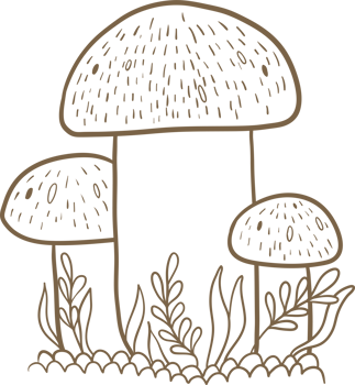 Mushroom drawing clipart png