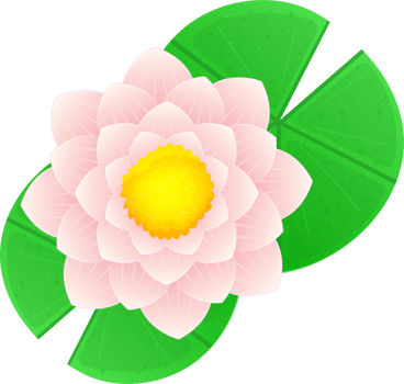 Water lily clipart png