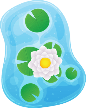 Water lily clipart png