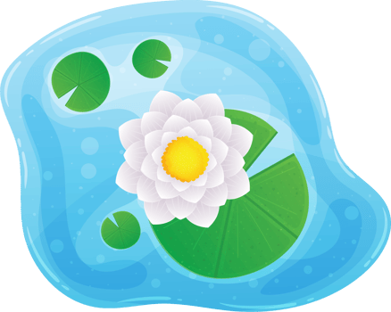 Water lily clipart png