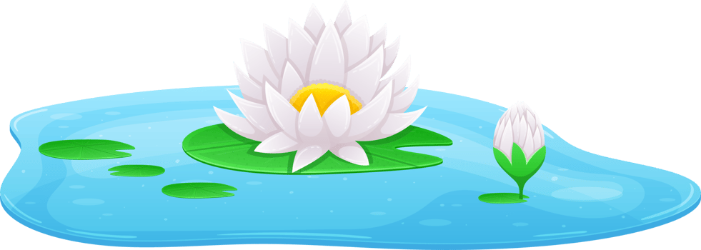 Water lily clipart png