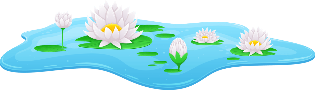 Water lily clipart png