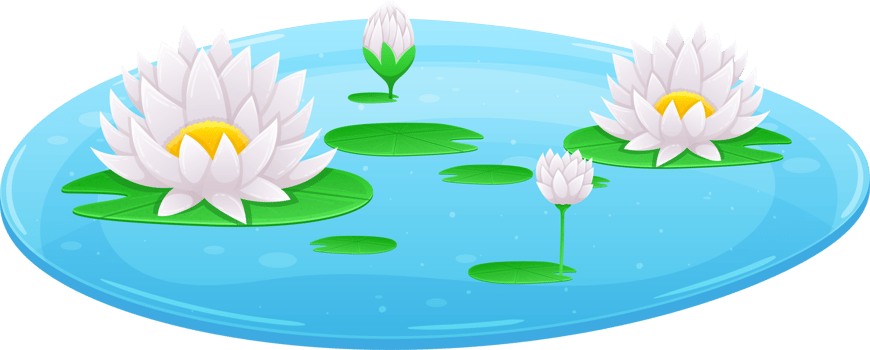 Water lily clipart png