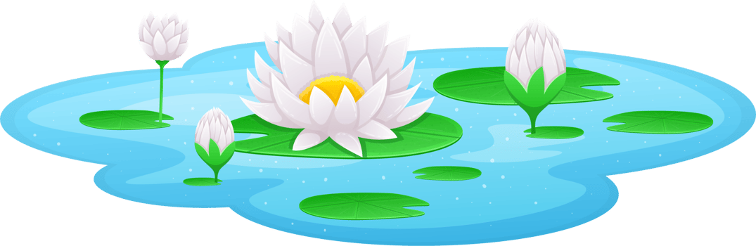 Water lily clipart png