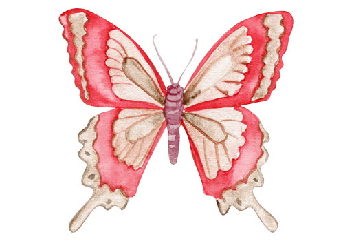 Watercolor colorful butterfly. Illustration of monarch butterfly.Hand drawn insect illustration png