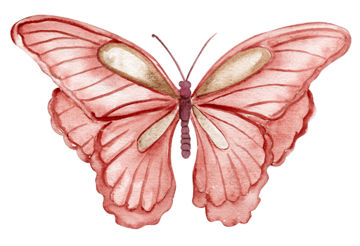 Watercolor colorful butterfly. Illustration of monarch butterfly.Hand drawn insect illustration png