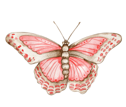 Watercolor colorful butterfly. Illustration of monarch butterfly.Hand drawn insect illustration png