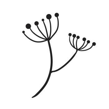 Hand Drawn Wild Flower Png