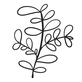 Hand Drawn Wild Flower Png