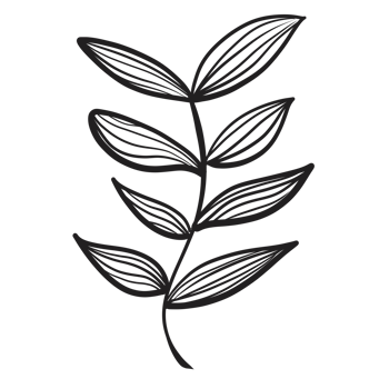 Hand Drawn Wild Flower Png