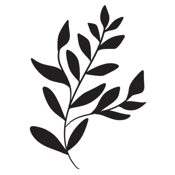Hand Drawn Wild Flower Png
