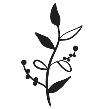 Hand Drawn Wild Flower Png