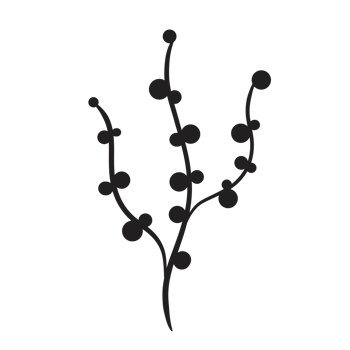 Hand Drawn Wild Flower Png