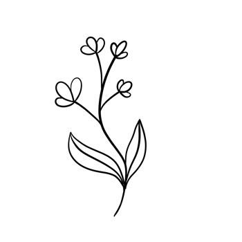 Hand Drawn Wild Flower Png