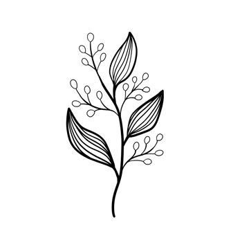 Hand Drawn Wild Flower Png
