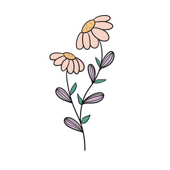 Hand Drawn Wild Flower Png