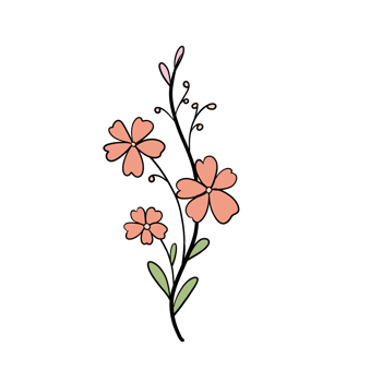 Hand Drawn Wild Flower Png