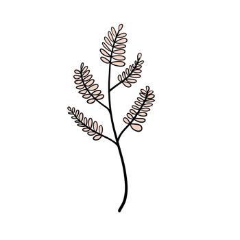 Hand Drawn Wild Flower Png