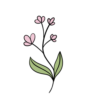 Hand Drawn Wild Flower Png
