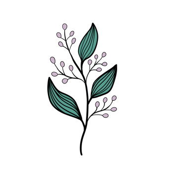 Hand Drawn Wild Flower Png
