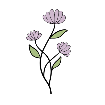 Hand Drawn Wild Flower Png