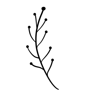Hand Drawn Wild Flower Png