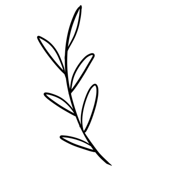 Hand Drawn Wild Flower Png