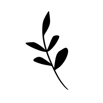Hand Drawn Wild Flower Png
