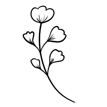 Hand Drawn Wild Flower Png