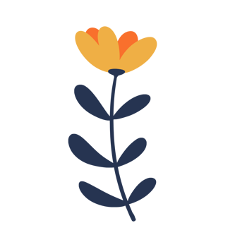 Hand Drawn Wild Flower Png