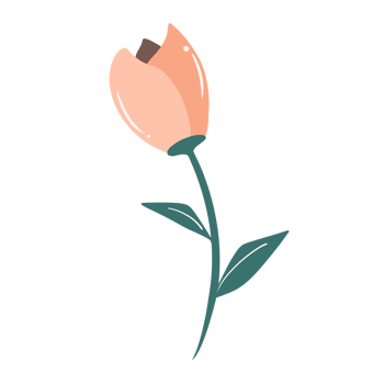 Hand Drawn Wild Flower Png