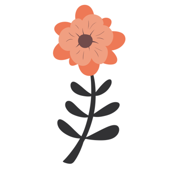 Hand Drawn Wild Flower Png
