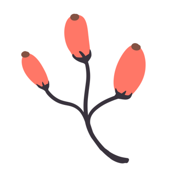 Hand Drawn Wild Flower Png