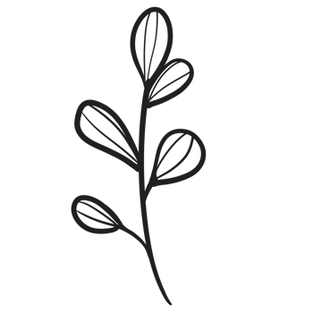 Hand Drawn Wild Flower Png