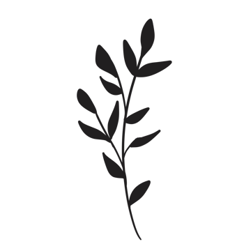 Hand Drawn Wild Flower Png