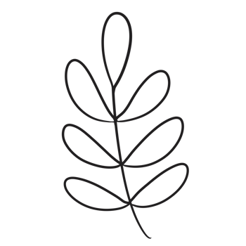Hand Drawn Wild Flower Png