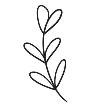 Hand Drawn Wild Flower Png