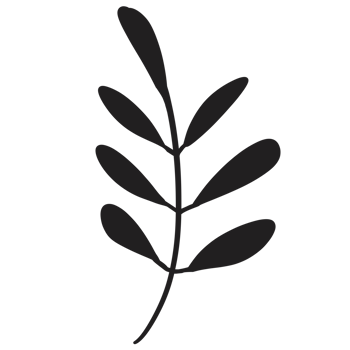 Hand Drawn Wild Flower Png