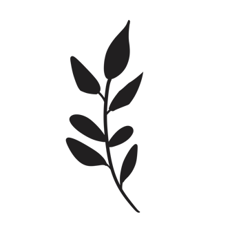 Hand Drawn Wild Flower Png