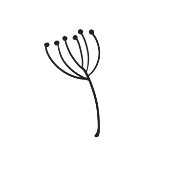Hand Drawn Wild Flower Png