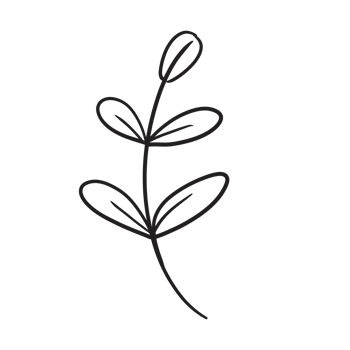Hand Drawn Wild Flower Png